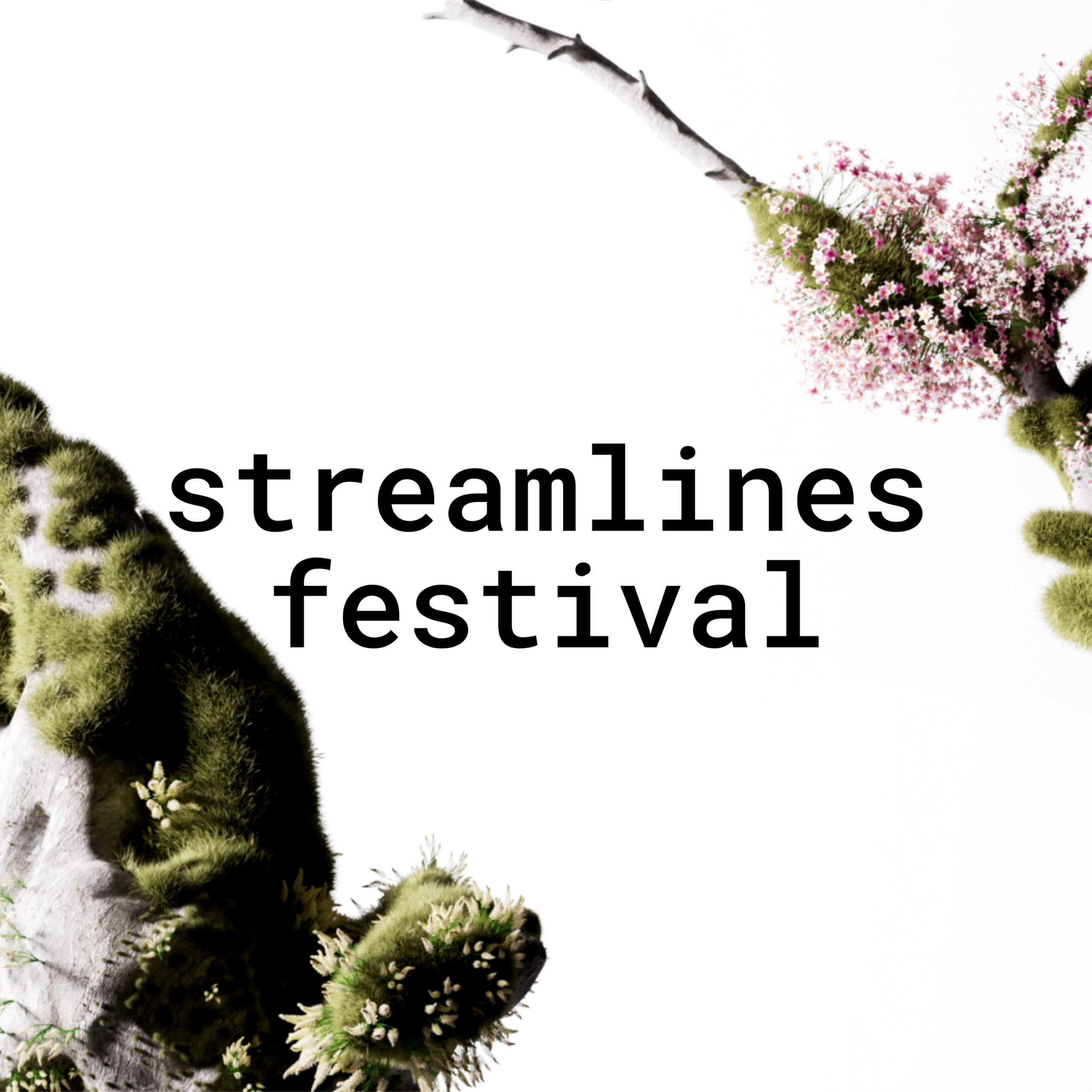Official streamlines festival 2026 artwork