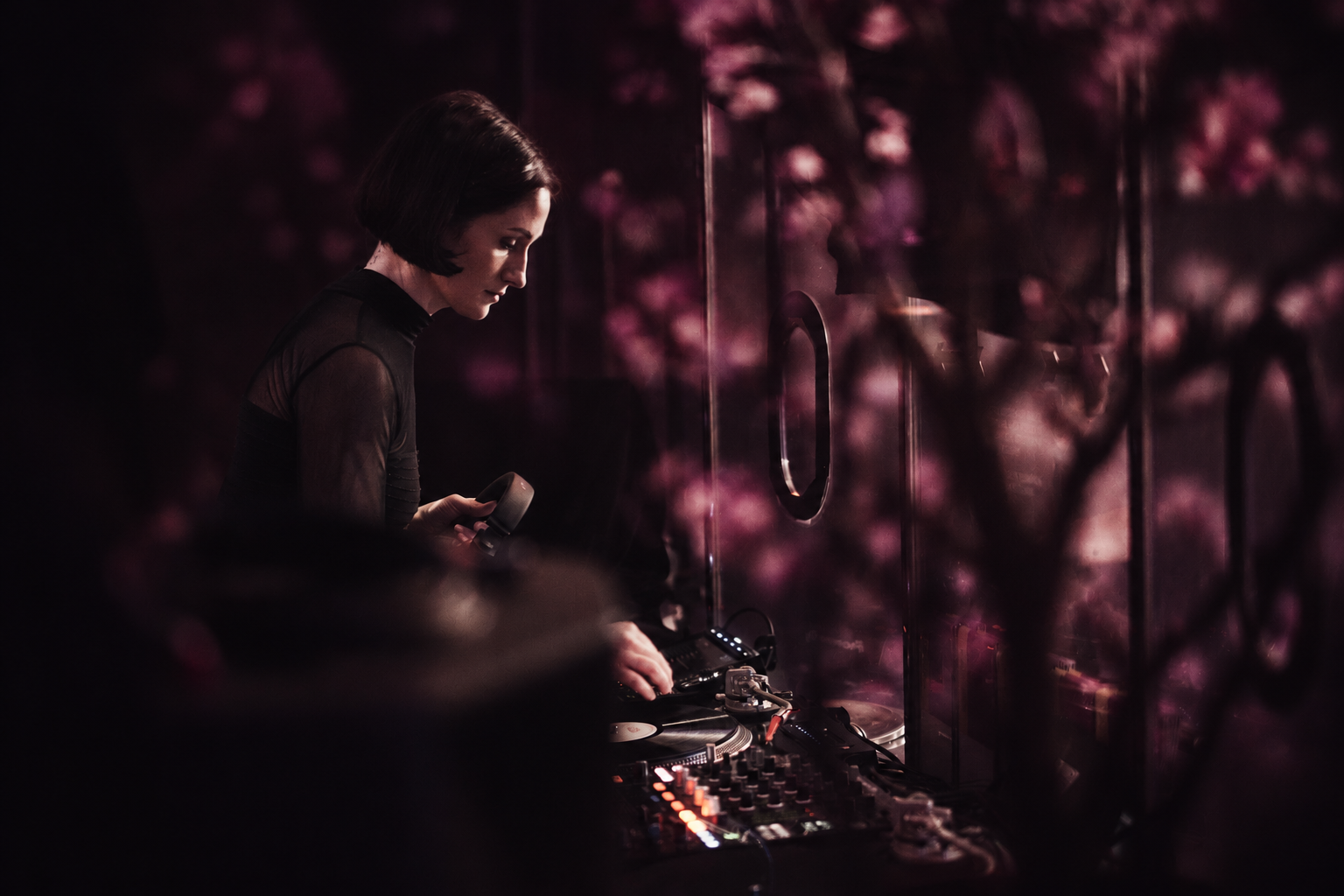 Cat Gadget DJing in front of a projection